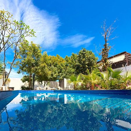 Commercial Zone Studios, Pool, Bbq And Beach 7 Blocks La Paz Exteriör bild